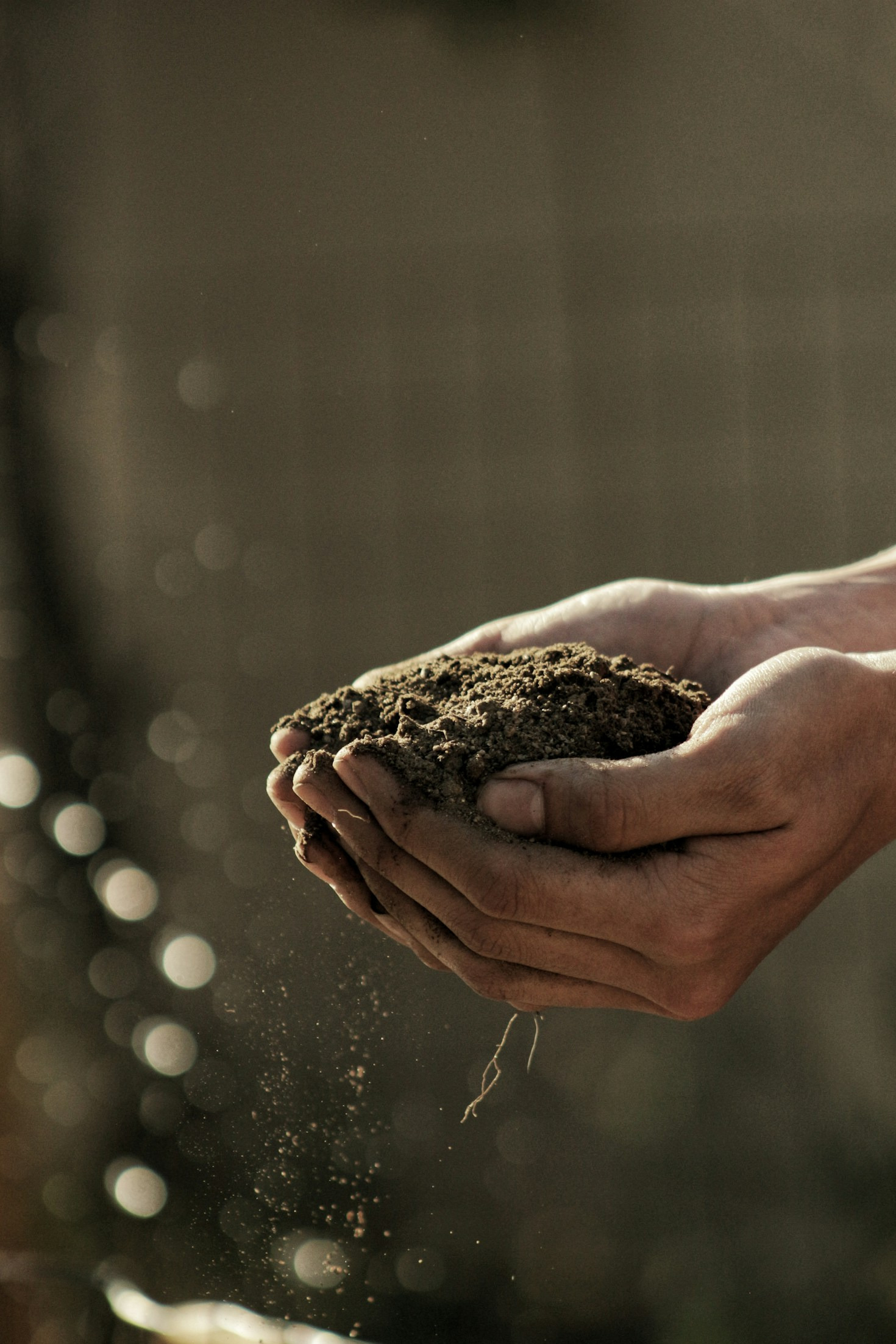 Les leçons apprises d&rsquo;une vie d&rsquo;agriculteur en GAEC