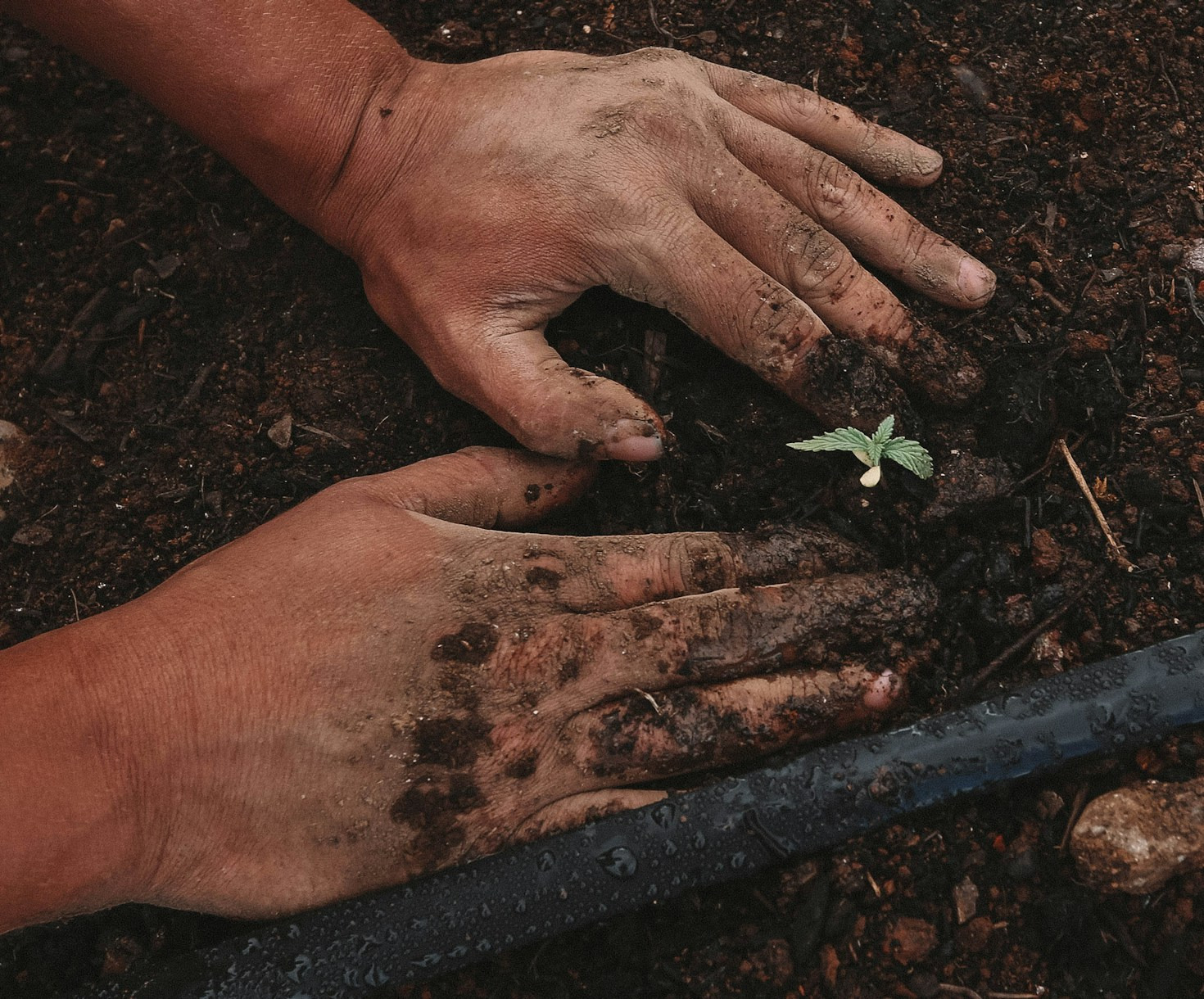 Repenser l&rsquo;agriculture familiale après le GAEC